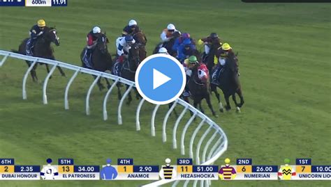 test stakes 2023 replay